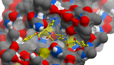 Hospital Austral – Línea de investigación del IIMT de la Universidad para tratamiento de COVID-19